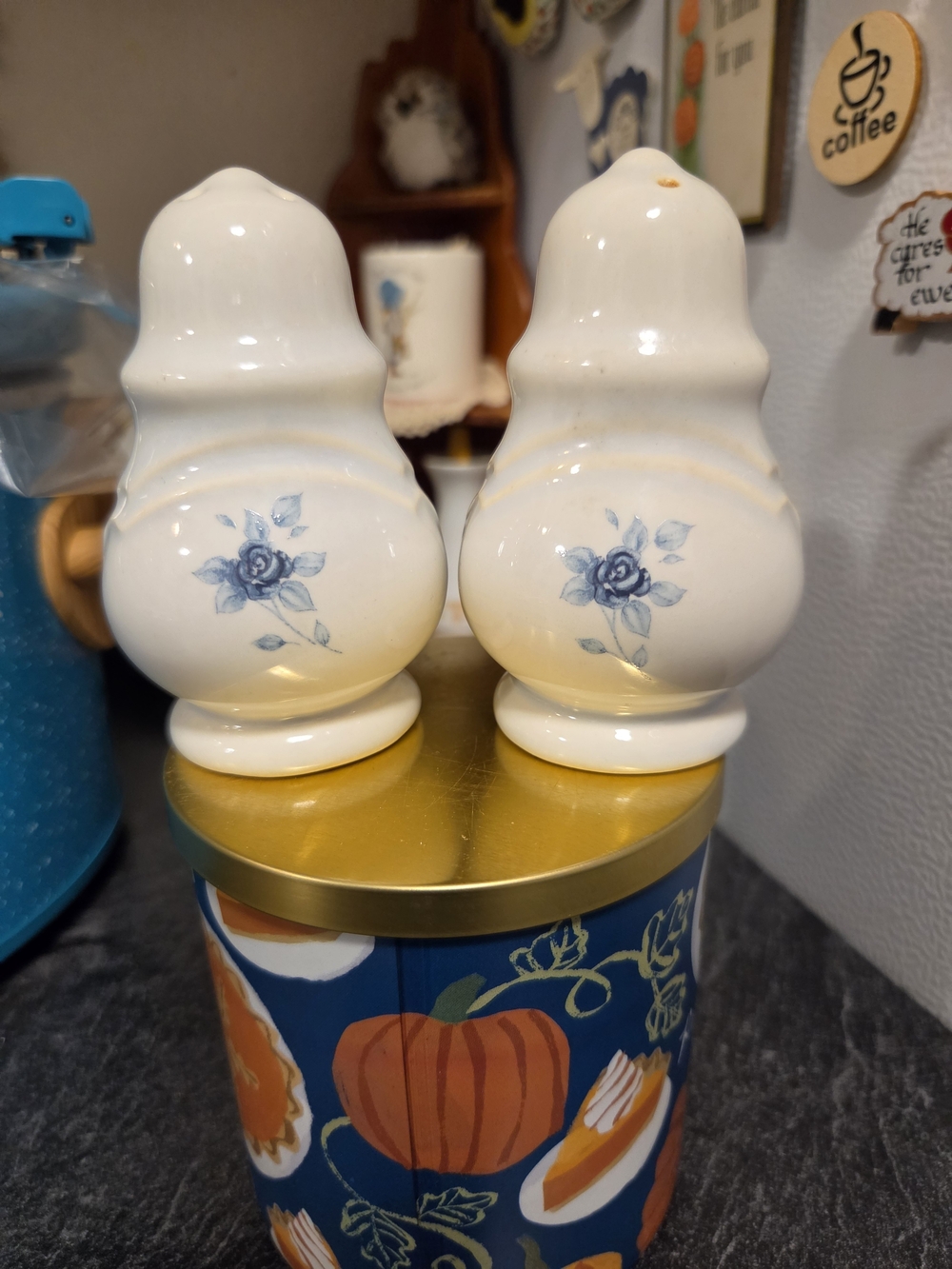 Pfaltzgraff White and Blue Rose Ceramic Salt & Pepper Shakers